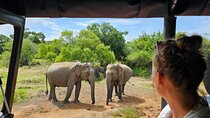 Evening private Safari at Udawalawe National Park by Jeep
