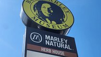 Bob Marley Museum Full day trip from Montego bay 