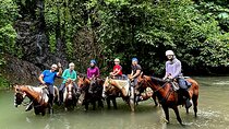 Arenal Volcano River Horseback Riding Tour