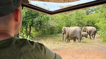 Morning Private Safari at Udawalawa National Park by Yala La Safari Tours