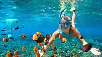  Snorkel and Private Tour in Montego Bay