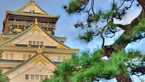 Osaka Castle Admission Ticket