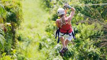 Private Tour Big Island Zipline over KoleKole Falls