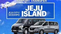 Private Jeju Airport Transfer : Jeju Airport to/from Jeju(~7 pax)