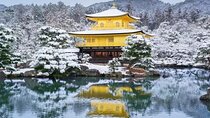 Golden Pavilion Kiyomizu Temple and Fushimi Inari Shrine Tour