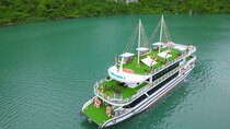 Apollo Premium 5-Star Day Cruise to Ha Long Bay with Buffet Lunch