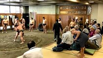 Tokyo 5hr Private Tour & Sumo Wrestler Morning Practice Viewing