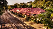 Kuranda Scenic Railway and Rainforest Station (Small Group)