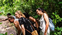 Zanzibar : Day Jozani Forest, Spice Farm, Nature and Savor Tour