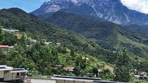Kinabalu Park And Poring Hot Spring Private Day Tour