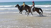 Horseback Riding Tour along the Beaches of Punta Cana