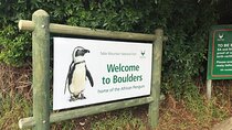 Cape Of Good Hope and Boulders Beach Penguins Private day Tour