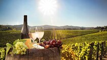 Cape Winelands Experience Stellenbosch and Franschhoek Wine Tour