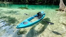 Silver Springs Glass Bottom Kayak Tour