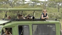 2 Days Golden Monkey Trekking Tour and Akagera Wildlife Safari