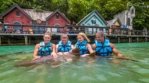 Private Excursion to Mystic Mountain and Dolphin Cove