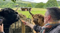 Hidden Gems & Highland Cows: Family-friendly Private Day Tour