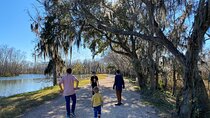 Brazos Bend Wildlife and Nature Tour