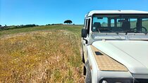 Winery, Tastings & 4WD Vineyards Ride, Half Day Trip from Lisbon