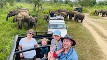 Minneriya National Park Safari - Private Jeep with Hotel Pickup