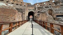 Rome Away from Crowds Colosseum Gladiator's Arena Guided Tour