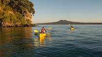 Day sea kayak tour Rangitoto Island