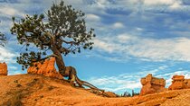 Private Tour Colorado Plateau from Sedona