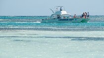 Half-Day Guided Catamaran Cruise in the Caribbean Sea