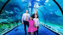 Tickets to The National Aquarium Abu Dhabi