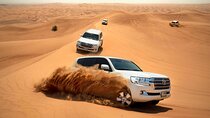 Abu Dhabi Full Day Liwa Desert Safari From Abu Dhabi