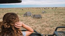 4 Days Wildlife Safari in Tanzania
