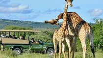 Full Day Phezulu Safari & Durban City Tour
