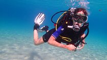 Try Scuba Diving for Beginners by Boat on Diaporos Island