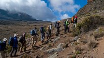 8 Days Guided Private Trekking in Mount Kilimanjaro