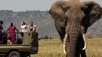  4 Day Tour Kruger National Park And Blyde River Canyon
