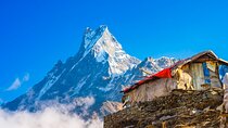 Mardi Himal Trekking from Kathmandu