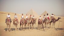 Private Half-Day Tour: Giza Pyramids and Sphinx by Camel 