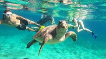 snorkeling ,Turtle Watching in Cyprus