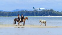 Beach Horseback Adventure in Phuket