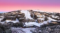 Mt Buller Day Tour – Best Value Hire & Genuine 5 Hours Fun