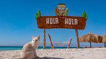 Luxury Hula Hula Island with 2 Snorkeling Stop & Lunch - Hurghada