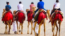 Camel ride & Quad bike Experience in sealine beach Qatar