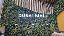 Dubai Mall two way transfer for Burj Khalifa, Dinner or aquarium 