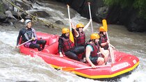 Bali White Water Rafting Ayung river Ubud 