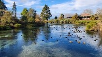 Private Tour Rotorua + Blue springs + WaiOtapu + Redwood forest