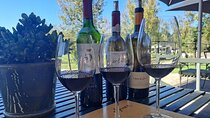 Franschhoek and Stellenbosch Wine Tasting Day Tour