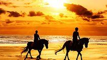 Agadir and Taghazout: 2 Hours Horseback Ride on the Beach