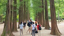 Scenic Escape: Nami Island, Garden of Morning Calm, and Rail Bike
