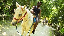 Shared Adventure Tour in Puerto Morelos with Ziplines and Horses
