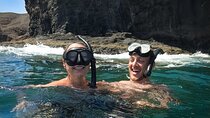Fuerteventura Marine Life Snorkeling Discovery